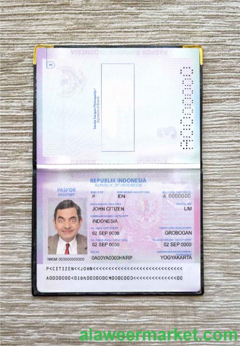 Indonesia passport version 2 photo lokk
